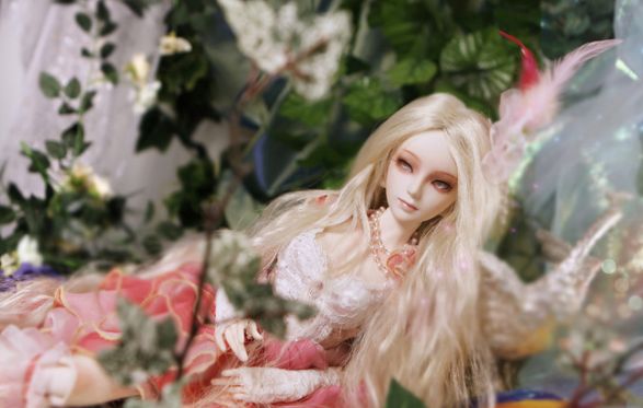 tulip bjd collectible doll