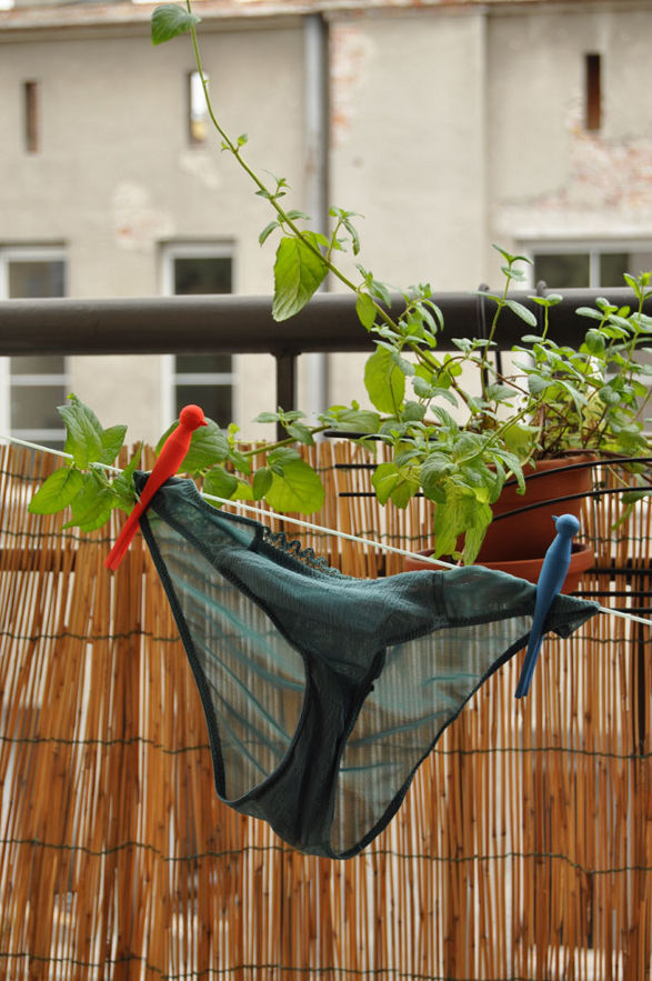 wooden pegs shaped like birds 