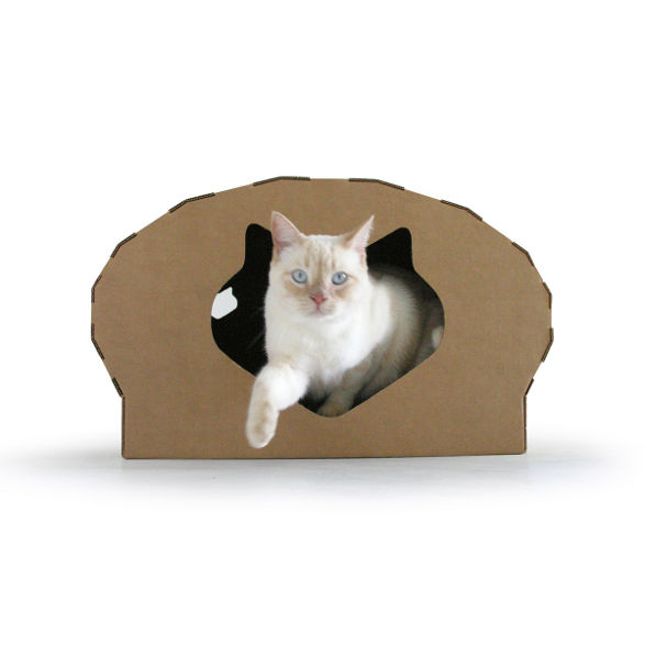 kittypod dome inhabit for cat