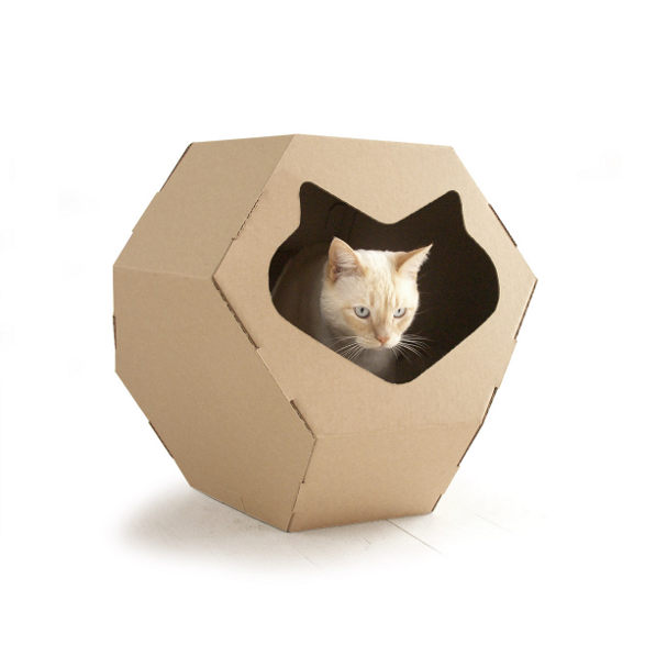 kittypod geodome inhabit for cat made of cardboard
