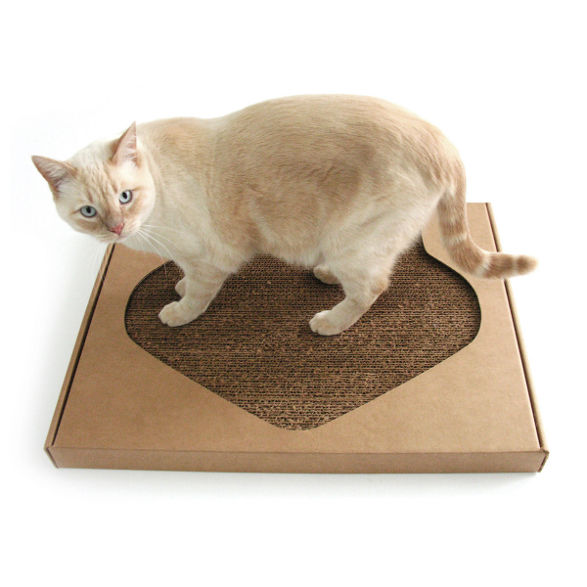 kittypod pawpaw scratcher for cats