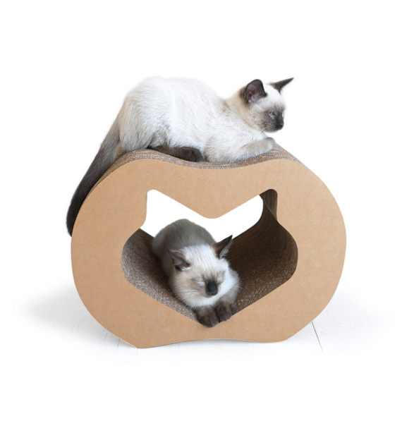 mini kittypod tunnel for cat