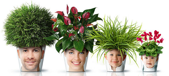 facepots funny planters with faces