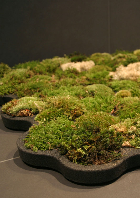 moss carpet