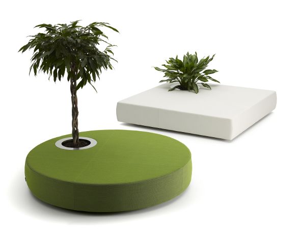 green islands sofa and plant