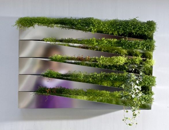 mirror with herbs